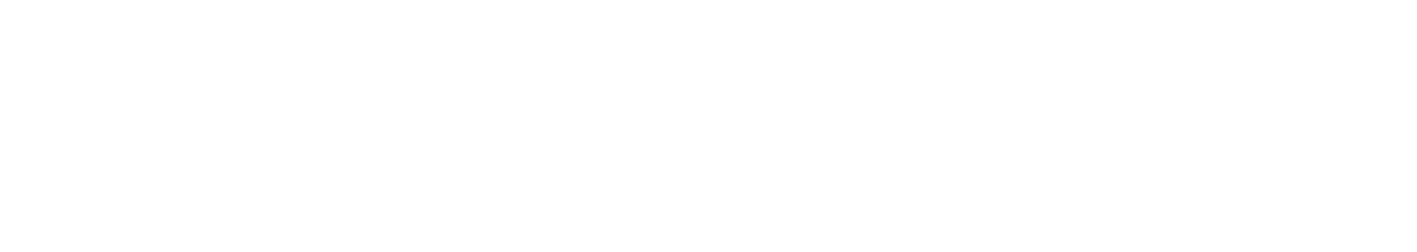 Tata Pension Fund